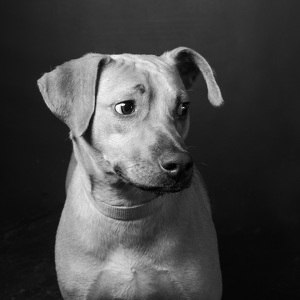 Fundraising Page: Gatsby Ascione-Juska